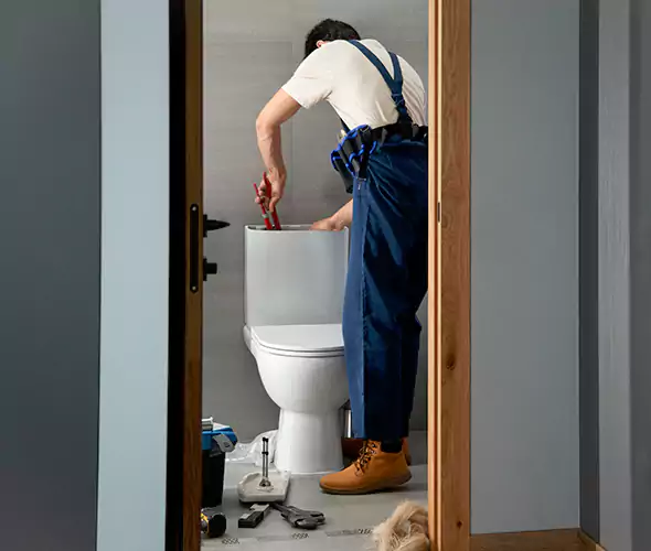 Professional Plumbers for Toilet Bowl Replacement in Clovis, CA: Schedule Affordable Toilet Replacement Services With Us
