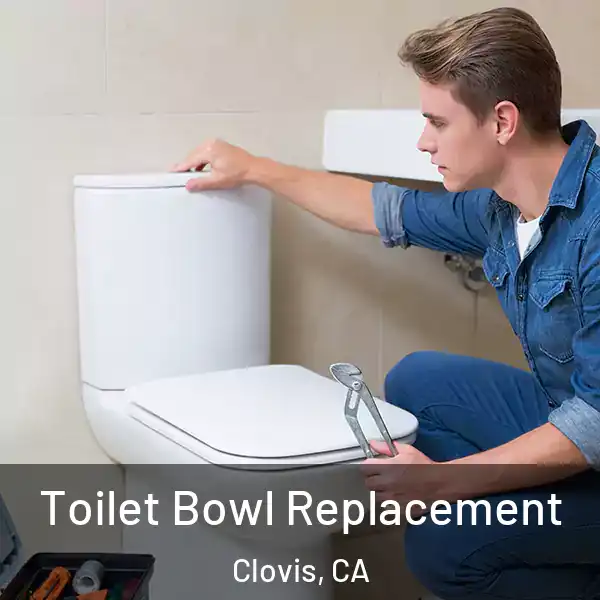  Toilet Bowl Replacement Clovis, CA