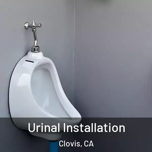  Urinal Installation Clovis, CA
